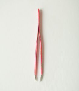 نیپس و دیگر هیچ! نیپس و دیگر هیچ!