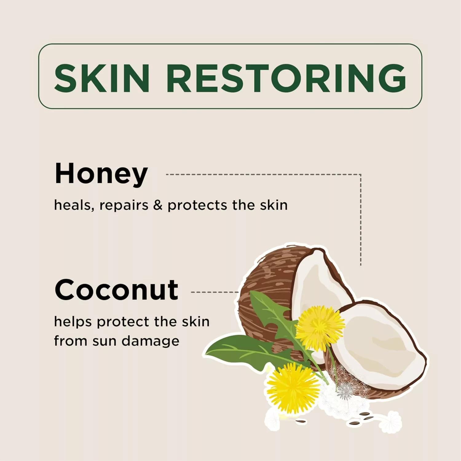 کره بدن پتال فرش عسل و نارگیل HONEY & COCONUT