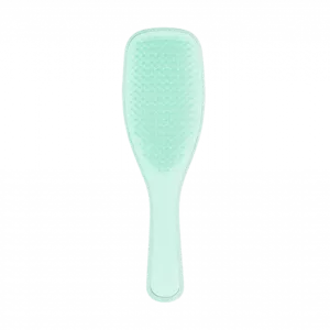 برس تنگل تیزر موهای نازک و شکننده Tangle Teezer Detangler Fine & Fragile Jade Lagoon
