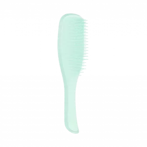 برس تنگل تیزر موهای نازک و شکننده Tangle Teezer Detangler Fine & Fragile Jade Lagoon
