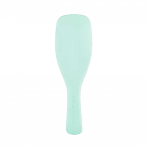 برس تنگل تیزر موهای نازک و شکننده Tangle Teezer Detangler Fine & Fragile Jade Lagoon