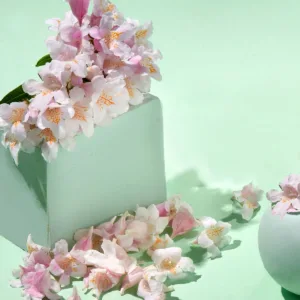 اسپری آب JOWAE جوائی فرانسه آبرسان و مرطوب کننده انتی اکسیدان قوی 97% گیاهی 100میل