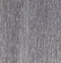10.11 _ 10AA INTENSE ASH PLATINUM LIGHTEST BLOND