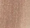 10.13 _ 10AG ASH GOLDEN PLATINUM LIGHTEST BLOND