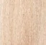 10.7 _ 10NV NATURAL VIOLET PLATINUM LIGHTEST BLOND