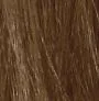 6.13 _ 6AG ASH GOLDEN DARK BLOND