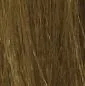 7 _ 7N MEDIUM BLOND