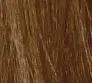 7.33 _ 7GG INTENSE GOLDEN MEDIUM BLOND