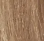 8.13 _ 8AG ASH GOLDEN LIGHT BLOND