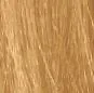9.33 _ 9GG INTENSE GOLDEN VERY LIGHT BLOND