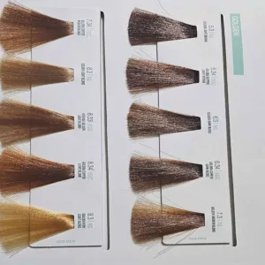 رنگ مو میلک شیک روغنی GLOSS CARTELLA