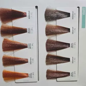 رنگ مو میلک شیک روغنی GLOSS CARTELLA