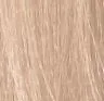 POWDER