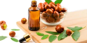 روغن جوجوبا | هر آنچه که باید بدانید