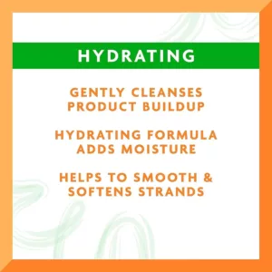 شامپو آووکادو کنتو مخصوص موی فر حاوی شی باتر