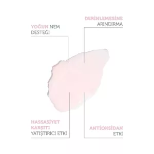 بالم پاک کننده آبرسان پیورست سولوشن