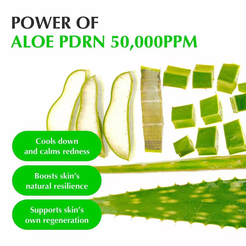 سرم تسکین دهنده Aloe PDRN اکوال بری