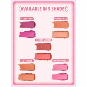 پالت رژگونه دوتایی CHEEK 2 CHEEK شیگلم چیک2چیک PEACH JUICE