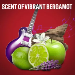 مام استیک ضد تعریق اولد اسپایس مدل rockstar