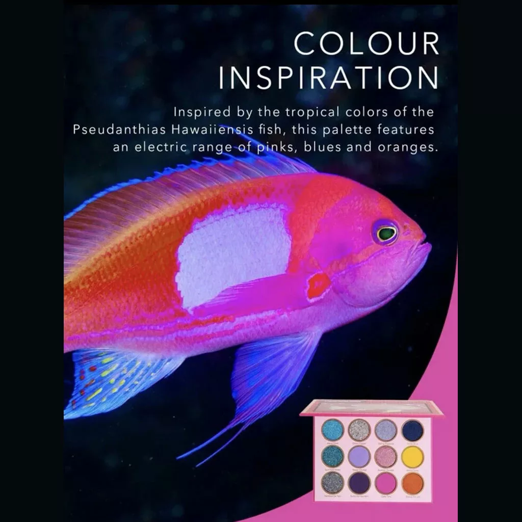 پالت سایه جذاب ۱۲ رنگ شیگلم مدل fin within