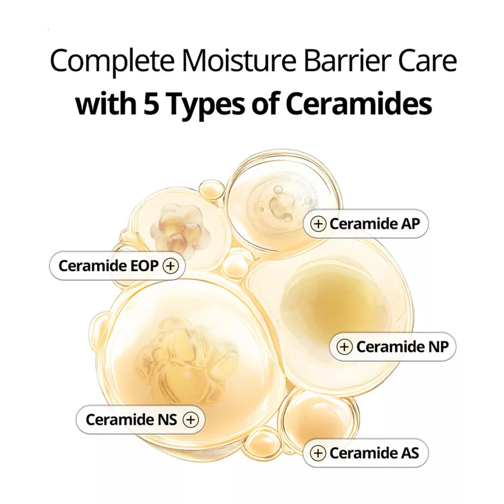 کرم کپسولی برنج و سرامید وی تی کازمتیک vt cosmetic