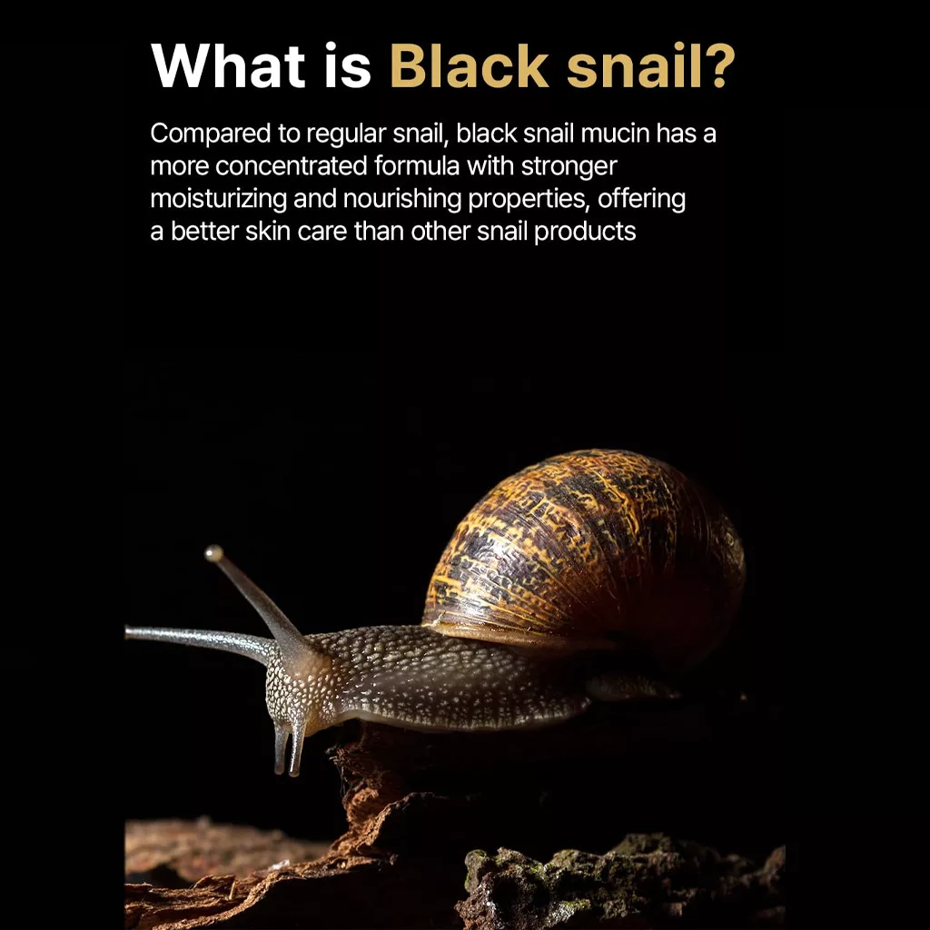 سرم رولر صورت و گردن بلک اسنس حلزون فارم استی BLACK SNAIL & PEPTIDES SERUM