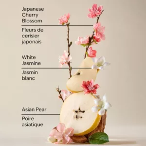 شامپو بدن ویتامینه بث اند بادی ورکز مدل Japanese cherry blossom