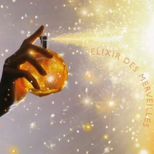 ادکلن هرمس الکسیر دس مرولیس 100میل Elixir des Merveilles Eau de parfum