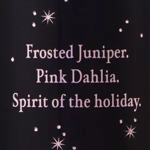 بادی میست cheers again ویکتوریا سکرت victoria secret (لیمیتد ادیشن)