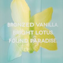 بادی میست وانیل تروپیک ویکتوریا سکرت استوایی آناناس پلومبا وانیل وانیل نخل vanilla tropic with bright lotus (2)