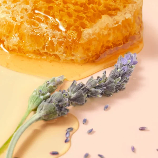 بالم لب عسل طبیعی نوکس درمانی تغذیه کننده و نرم کننده Nuxe Honey Lip Care (3)