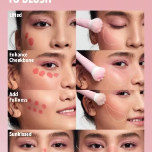براش رژگونه شیگلم بلاش لیکوئید پنجه گربه ای