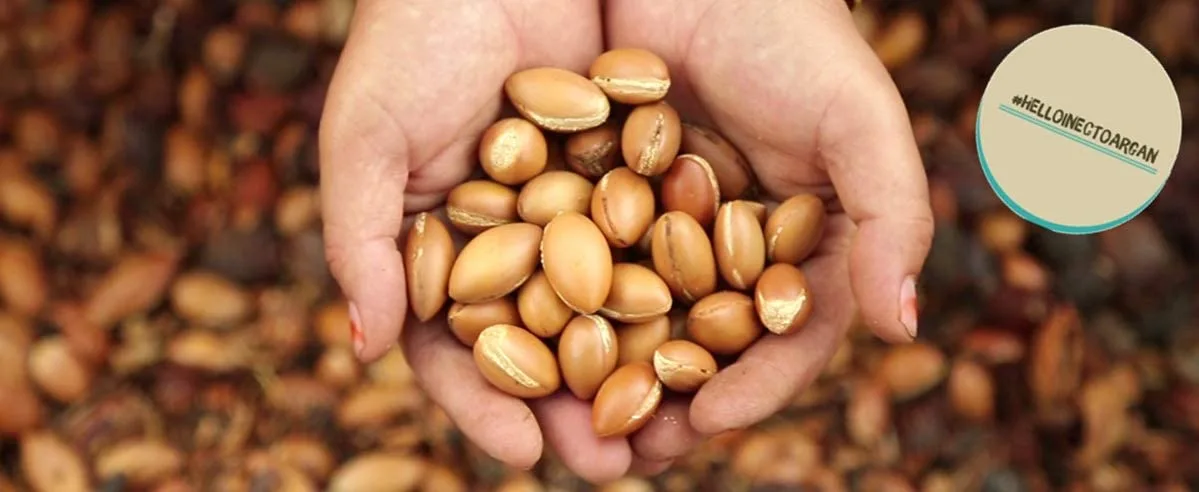 روغن موی آرگان اینکتو نرم کننده شاین و براق کننده عالی